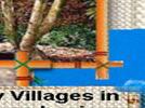 help comes to the indigenous peoples